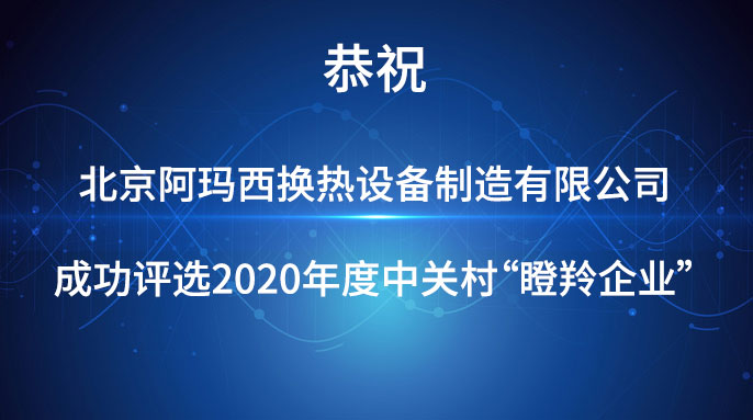 乐鱼成功入选2020年度中关村“瞪羚企业”名单